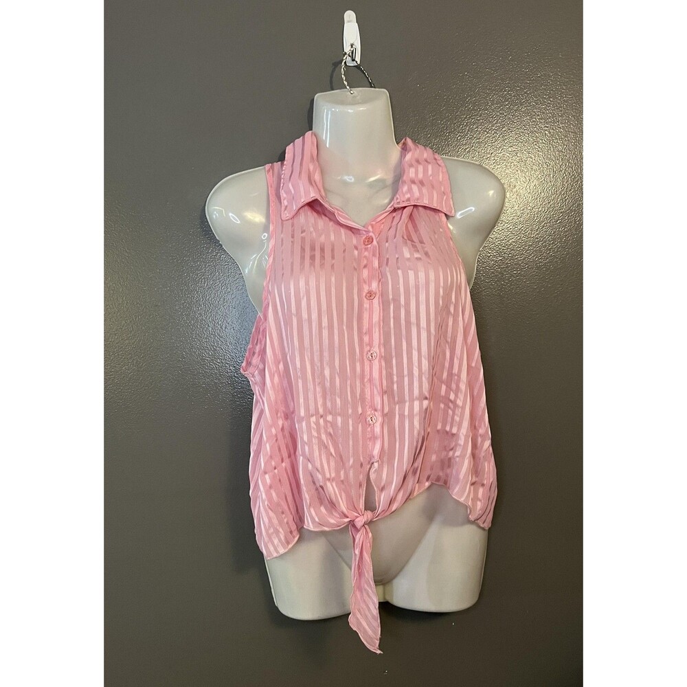 Marianne Blouse Womens Large Pink Sheer Striped Button Up Collared Tie Front Top
